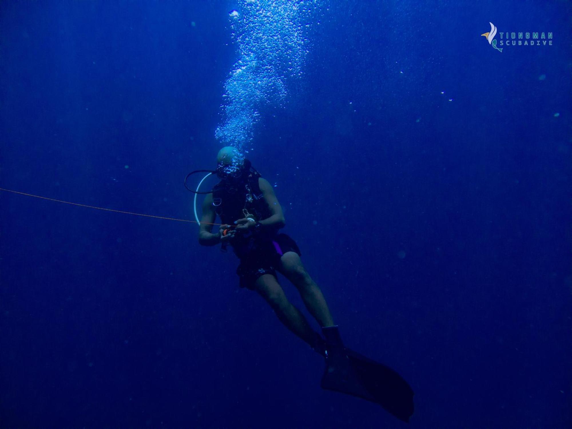 Tiongman Scubadive & Lodge Kampong Juara المظهر الخارجي الصورة